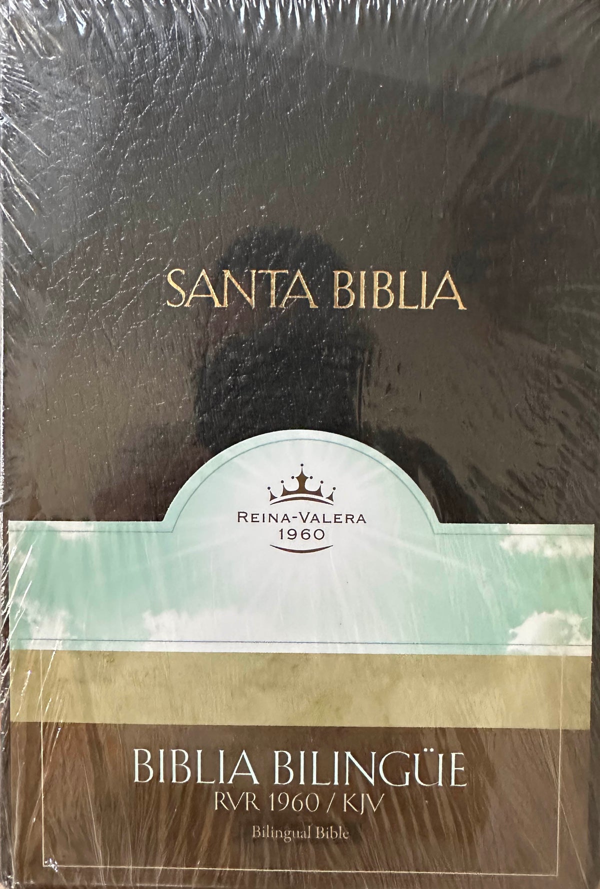 BIBLIA DE ESTUDIO